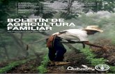 Boletín de Agricultura Familiar para América Latina y el ...2013. El 20 de febrero se realizó el lanzamiento mundial del AIQ 2013 en la sede de las Naciones Unidas en Nueva York,