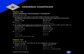 6 NÚMEROS COMPLEJOSalmacen.iesealarcos.es/Matematicas/JM/1Bach X...Escribe en forma binómica los siguientes números complejos: a) 5 (π/6) rad b) 2 135º c) 2 495º d) 3 240º e)