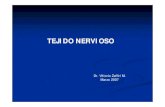 TEJIDO NERVIOSO - Diego Portales Universitycdc.udp.cl/file.php/1/Unidad_3/TEJ_NERV-_NEURONAS.pdf · 2008. 6. 30. · Características y funciones básicas del tejido nervioso-Se origina