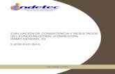EVALUACIÓN DE CONSISTENCIA Y RESULTADOS DEL FONDO … · Programa Anual de Evaluación “PAE” para el ejercicio fiscal 2013 de los Subfondos Presupuestarios Estatales y los Recursos