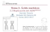 Tema 2. Ácido nucleicosdpbiologia.weebly.com/uploads/2/1/5/5/21553524/gtp_t2...Tema 2. Ácido nucleicos 2.2 Replicación del ADNDP/PAU Idea Fundamental: La estructura del ADN se adapta