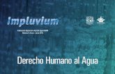 Derecho Humano al Agua - Aquaknow · 2017. 1. 30. · pos que durante décadas planteaban el acceso universal al agua. En México, el Congreso de la Unión adicionó el 8 de febrero