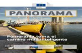 PANORAMA - European Commission...antiguo vicepresidente de la Comisión, Siim Kallas, presidente del Grupo de Alto Nivel sobre Simplificación, explica cómo 12 expertos independientes