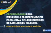 IMPULSAR LA TRANSFORMAIÓN - Asocolcanna · 2020. 1. 15. · Colombia Productiva trabaja en mejorar la productividad y la sofisticación de oferta para 17 sectores. • Alimentos