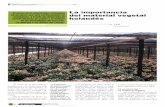 EI sector de /a arboricultura holandesa La importancia es ......Logística EI sector arborícola está dis-tribuido en todo el país. Para la logística de los productos se utili-zan