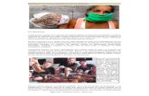 Página 1 de 4 – Semanario “El Veraz”- elveraz para los cubanos...Repasemos la gastronomía cubana en tiempos de crisis: picadillo de soya, masa cárnica, pasta de oca, fricandel,