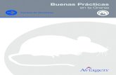 Buenas Prácticas - Aviagenes.aviagen.com/assets/Tech_Center/BB_Foreign_Language... · 2018. 5. 22. · Buenas Prácticas en la Granja Control de Roedores. 6 Presencia de Roedores