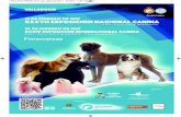 VALLADOLID - Canina Castellana · 2016. 12. 11. · dogo argentino joaquin bernal herrera (españa) bulldog ingles antonio rojo fajardo (españa) ... mejor cachorro andrew brace mejor