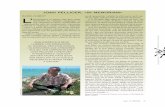 + 001-002 INTRO+SUM72 - Revista Mètode · 1995 i 2002) i De la Mariola a la mar (viatge pel riu Serpis; 1997); els herbaris comarcals Lluors de Gaia. Herbari breu de la Safor (1991)