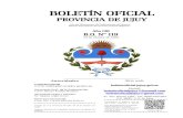 BOLETÍN OFICIALboletinoficial.jujuy.gob.ar/wp-content/uploads/2016/Bole...Octubre, 05 de 2020.- Boletín Oficial Nº 119 984 Provincia de JUJUY Unidos, Responsables y Solidarios DECRETO