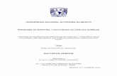 UNIVERSIDAD NACIONAL AUTÓNOMA DE MEXICOrdu.iquimica.unam.mx/bitstream/20.500.12214/674/1/Chavez... · 2018. 11. 15. · 2.1.1 Metodologías para la construcción de macrociclos 7