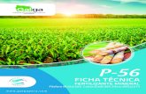 P-56 FICHA TECNICA7 / Ficha técnica P-56 Usos • • • En la agricultura convencional química para mezclas físicas con fertilizantes químicos (sulfatos, cloruros, nitratos,