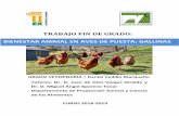 Bienestar animal en aves de puesta: Galiinasdehesa.unex.es/bitstream/10662/8523/1/TFGUEX_2018... · Además, se detallan las características de las principales razas de gallinas