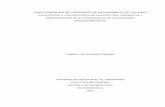 CARACTERIZACIÓN DE LOS NIVELES DE RAZONAMIENTO DE VAN HIELE …tangara.uis.edu.co/biblioweb/tesis/2013/150528.pdf · 2014. 3. 25. · de descriptores de los niveles de razonamiento