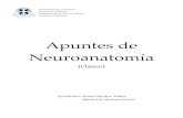 Apuntes de Neuroanatomía · 2016. 5. 17. · La clasificación del Sistema Nervioso se realizará de acuerdo a distintos criterios: 1. Criterio Anatómico: consiste en ubicar dentro