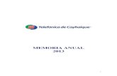 MEMORIA ANUAL 2013 - Gtdcaucau.surnet.cl/inversionistas/EEFF_2013/Memoria_Telcoy... · 2016. 2. 2. · GTD”) un Contrato de Promesa de Compraventa de acciones de Compañía Nacional
