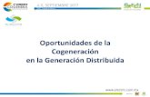 Oportunidades de la Cogeneración en la Generación Distribuida · 2017. 9. 14. · (a) Con el fin de definir un circuito de distribución con una alta concentración de Centros de