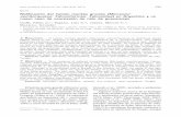 Nidificación del halcón montés grande (Micrastur semitorquatus: …lillo.org.ar/revis/zoo/57-2/11.pdf · 2013. 12. 23. · un nido con dos pichones en bosques pedemontanos de la