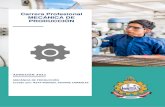 Carrera Profesional MECÁNICA DE PRODUCCIÓN · 2021. 2. 4. · 3 PERFIL PROFESIONAL Planificar, coordinar, supervisar y evaluar las labores productivas y de mantenimiento mecánico