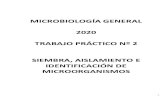SIEMBRA Y AISLAMIENTO DE MICROORGANISMOS · 2020. 11. 4. · Este tipo de siembra permite el cultivo de microorganismos aerobios o anaerobios facultativos y además se utilizapara