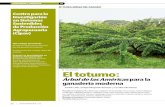 FLORA AMIGA DEL GANADO · 2020. 3. 18. · américa hasta Perú, Brasil y las islas del Caribe. En diferentes regiones de Colombia se considera un árbol nativo o naturalizado. Hoy