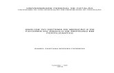 UNIVERSIDADE FEDERAL DE CATALÃO - UFG · 2020. 3. 12. · FERREIRA, I. S. B. Análise do Sistema de Medição e de Fatores do Ângulo de Repouso em Fertilizantes. 60p. Dissertação