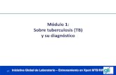 Módulo 1: Sobre tuberculosis (TB) y su diagnóstico · 2021. 5. 15. · El régimen de tratamiento estandarizado para TB incluye 4 drogas de primera línea (rifampicina, isoniazida,
