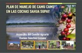 PLAN DE MANEJO DE CAMU CAMU EN LAS COCHAS SAHUA … · PLAN DE MANEJO DE CAMU CAMU EN LAS COCHAS SAHUA SUPAY Acuerdos del Comité Agrario Román Sánchez Lozano Iquitos - Perú, 2005
