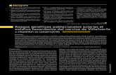 JOEL CALVO Rasgos genéticos poblacionales aclaran el estatus …ebd06.ebd.csic.es/pdfs/Medrano.et.al.2020.Conserv.Veg.pdf · 2020. 12. 17. · xonomía de los narcisos trompeteros