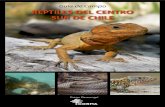 Guía de Campo REPTILES DEL CENTRO SUR DE CHILE · Guía de Campo Reptiles del centro y sur de Chile 5 Agradecimientos Agradezco a la Corporación Chilena de la Madera por haber hecho