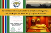 Patrimonio biocultural y derechos indígenas. Los Guarijío de Sonora y la presa … · 2017. 2. 22. · Bernardo, muy cerca de los territorios guarijíos. La cuenta nueva En la década