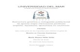 UNIVERSIDAD DEL MARbibliotecape.umar.mx/CatalogoUmarPE/TesisUmar/Maestrias/... · 2019. 2. 27. · experimental con las iguanas mantenidas en cautiverio. Por brindarme apoyo económico,