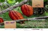 características específicas de la Cadena de Valor del cacao ......Lima, Zarko Medancic / Shutterstock Primer trimestre del 2020 Determinación de las características específicas