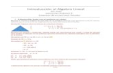 Introducción al Algebra Lineal · Sistemas de ecuaciones lineales ... 30 por ciento de oxígeno y 10 por ciento de argón. Planteo sistema de ecuaciones lineales para calcular cuánto