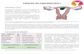 9. Endometrio I2021/04/09  · endometrio está más expuesto a estrógenos, (más tiempo o niveles más altos): menarquia precoz, menopausia tardía, estados anovulatorios (Sº de