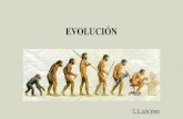 EVOLUCIÓN - Luis Vives · 2020. 11. 13. · EVOLUCIÓN CONVERGENTE La evolución convergente es el producto de la evolución independiente de uno o más caracteres similares que,
