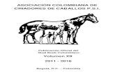 ASOCIACIÓN COLOMBIANA DE CRIADORES DE CABALLOS P.S.I. · 2019. 6. 13. · Colombiana de Criadores de Caballos P.S.I. ... CAPITULO II Dirección y Administración Artículo 5°-.