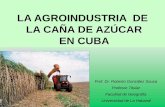LA AGROINDUSTRIA DE LA CAÑA DE AZÚCAR EN CUBA · 2016. 8. 21. · Desarrollar la producción de caña para azúcar en los suelos aptos sin superar los 700 Mha. Mantener sólo los