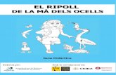 EL RIPOLL - ADENC · 2019. 2. 7. · 1. Presentació Una guia didàctica per apropar-se al riu El riu Ripoll és l’àmbit de Sabadell que presenta una major diversitat biològica.