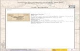 Gerona - IGN · 2019. 11. 26. · Gerona Ámbito geográfico: Gerona (Provincia) Materia: Mapas generales Fecha: 1851 ... que conformaron el "Atlas de España y sus posesiones de