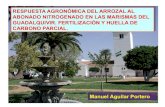 RESPUESTA AGRONÓMICA DEL ARROZAL AL ABONADO ...ruena.org/wp-content/uploads/2017/07/ruena-2017-aguilar.pdfParece ser que la planta aprovecha un 30-35% del nitrógeno aplicado con