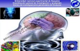 Presentación de PowerPoint · 2015. 11. 30. · Universidad nacional experimental de Guayana Coordinación general de investigación y postgrado Centro de investigaciones gerenciales