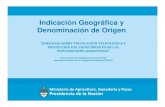 Indicación Geográfica y Denominación de Origen · 2019. 12. 4. · Las Indicaciones Geográficas y las Denominaciones de Origen son herramientas que no se crean, sino que se reconocen.