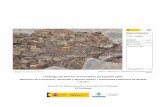 Catálogo de Barrios Vulnerables de España 2001 · 2021. 6. 22. · 3.574 Ensanche Parcelación periférica Ciudad jardín Promoción pública 40-60 Promoción 60-75 Promoción pública