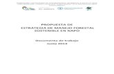 PROPUESTA DE ESTRATEGIA DE MANEJO FORESTAL …info.napo.gob.ec/assets/restauracion_descargas/PROPUESTA_EMFS_jun 2019.pdfNacional Forestal que es el instrumento de gestión del Patrimonio