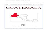 FAO - PERFILES NUTRICIONALES POR PAÍSES GUATEMALA · 2021. 2. 8. · Perfiles Nutricionales por Países – GUATEMALA 5 GUATEMALA I. PRESENTACIÓN GENERAL 1. Geografía La República