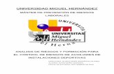 UNIVERSIDAD MIGUEL HERNÁNDEZdspace.umh.es/bitstream/11000/6090/1/MUÑIZ QUESADA... · 2020. 7. 16. · universidad miguel hernÁndez mÁster de prevenciÓn de riesgos laborales .