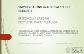 UNIVERSIDAD INTERNACIONAL SEK DEL ECUADOR · 2020. 10. 21. · universidad internacional sek del ecuador ergonomÌa laboral proyecto para titulaciÒn prevalencia de estrÉs en trabajadores