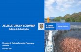 ACUICULTURA EN COLOMBIA · 2021. 5. 12. · Risaralda 597 2% 1.356 1% Norte de Santander 1.074 3% 999 1% Quindío 250 1% 192 0% Vaupes 0 0% 117 0% Guaviare 684 2% 96 0% Amazonas 72