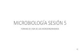 MICROBIOLOGÍA SESIÓN 5 · 2020. 3. 31. · Estos ciclos de la materia son los ciclos biogeoquímicos. - Como ejemplos de ciclos biogeoquímicos, y el papel que desempeñan los microorganismos